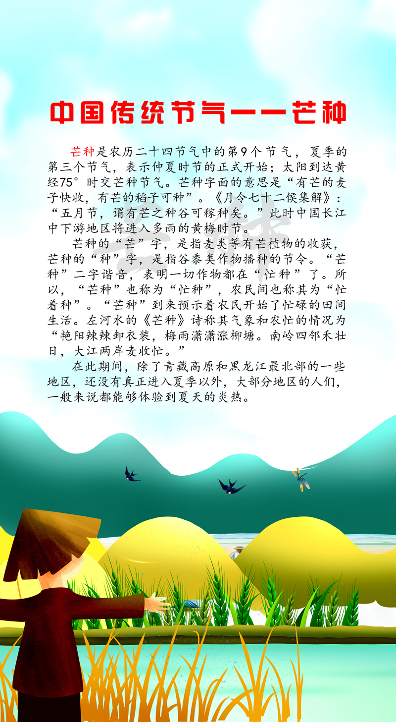 芒种1_副本.jpg
